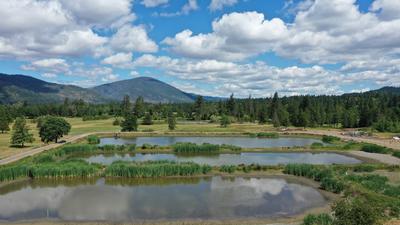 Holding Ponds