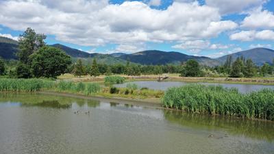 Holding Ponds
